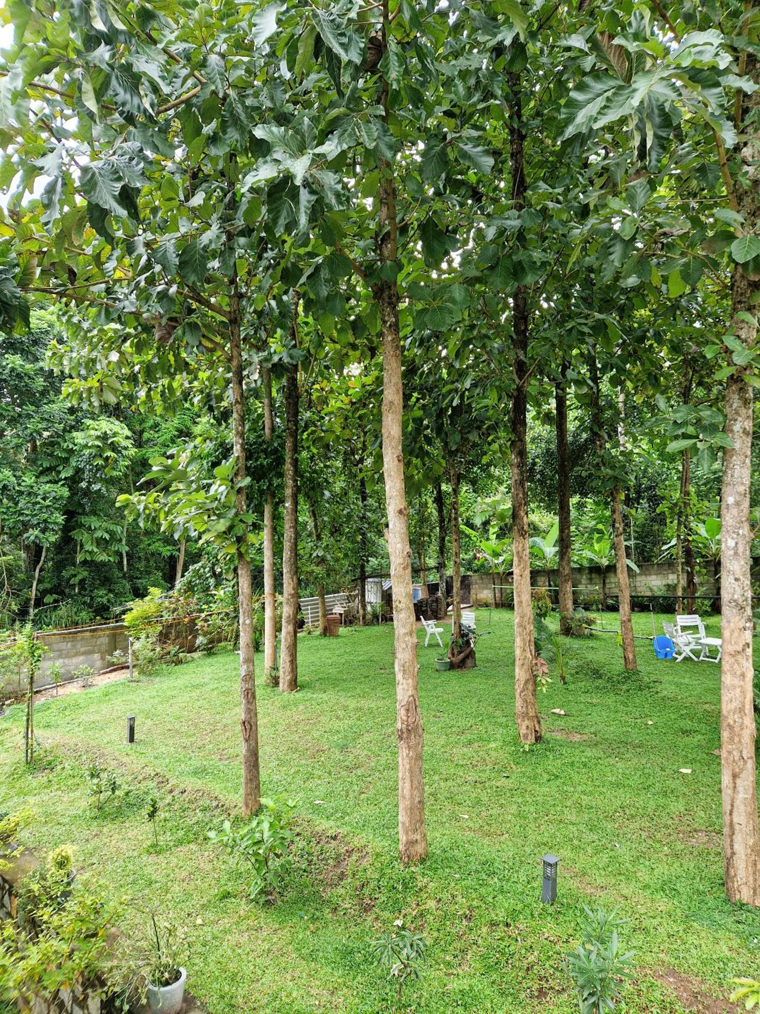 Villa Sole Kandy Extérieur photo